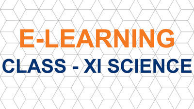 Class XI Science